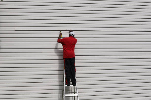 Best Fiber Cement Siding Installation  in Bellerose Terrace, NY